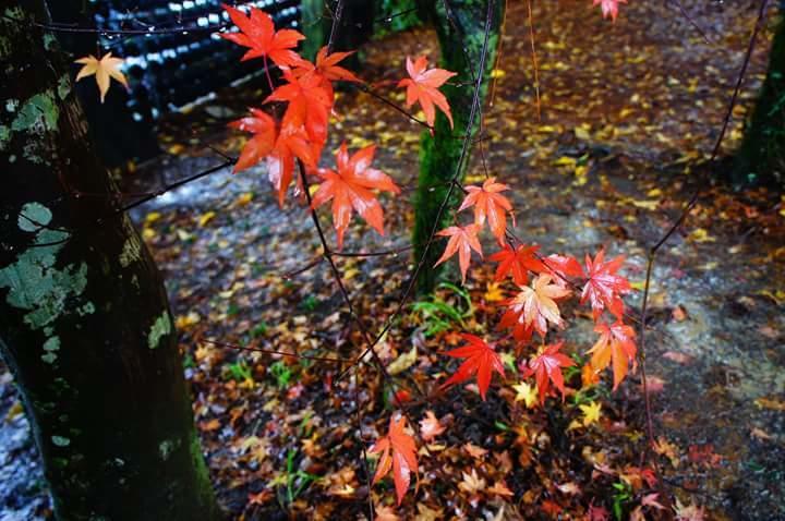 Wen Xin Yuan Homestay 풀리 외부 사진