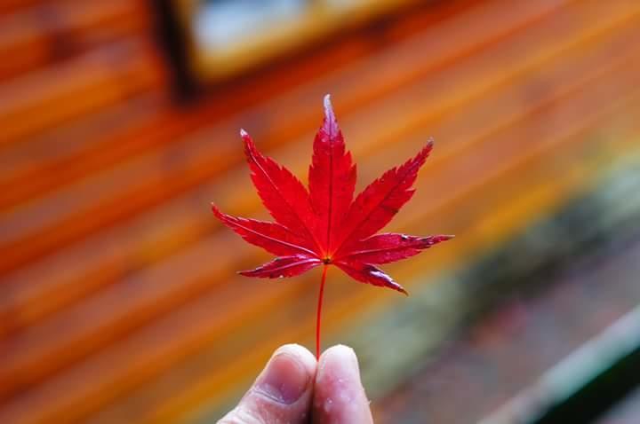 Wen Xin Yuan Homestay 풀리 외부 사진
